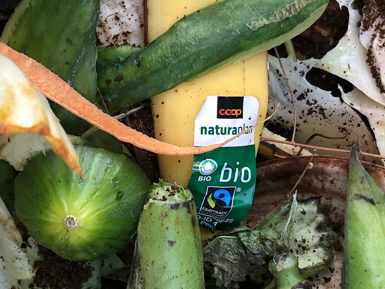 Épluchures et biodéchets ménagers en cours de compostage